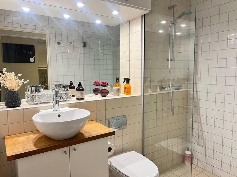 Koselig Leilighet I Sentrum Av Oslo Med Byutsikt! ภายนอก รูปภาพ