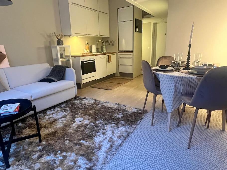 Koselig Leilighet I Sentrum Av Oslo Med Byutsikt! ภายนอก รูปภาพ